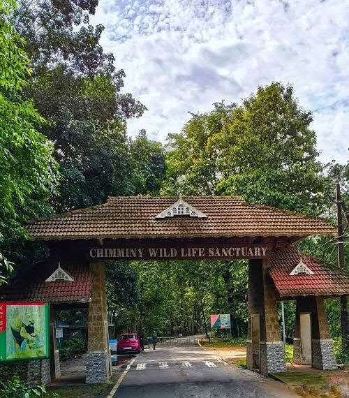 വിനോദ സഞ്ചാര വകുപ്പ് ചിമ്മിനി ഡാം ഇക്കോ ടൂറിസം പദ്ധതിയെ വരന്തരപ്പിള്ളി ഗ്രാമ പഞ്ചായത്തിന്റെ ടൂറിസം ഡെസ്റ്റിനേഷന്‍ പദ്ധതിയില്‍ ഉള്‍പ്പെടുത്തി 50 ലക്ഷം രൂപ അനുവദിച്ചതായി കെ.കെ. രാമചന്ദ്രന്‍ എംഎല്‍എ 