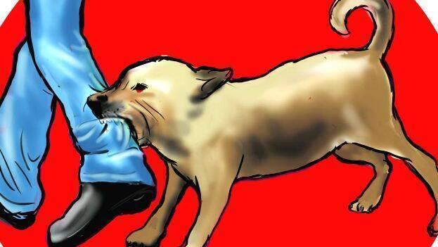 nctv news- pudukad news