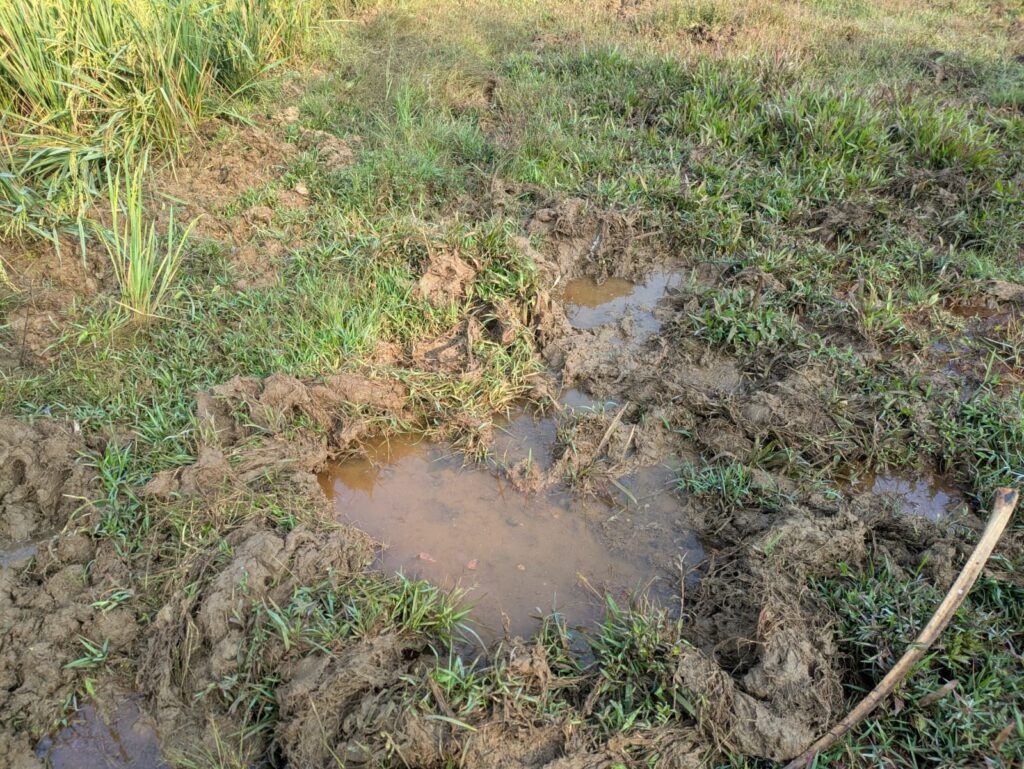 nctv news- pudukad news