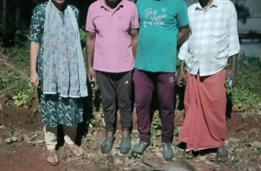 വരാക്കരയിൽ കർഷകർക്ക് ആശ്വാസം, രണ്ട് പന്നികളെ വെടിവെച്ചു കൊന്നു