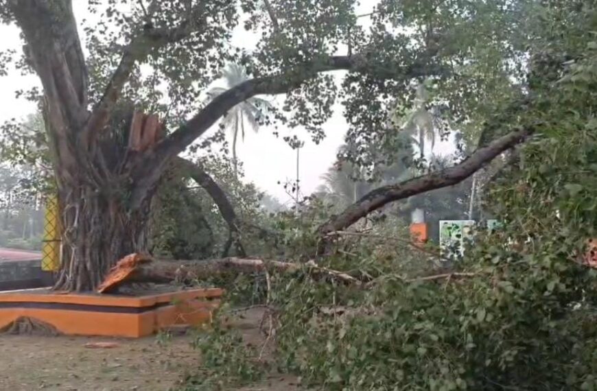 തലനാരിഴയ്ക്ക് രക്ഷപെടൽ: ക്ഷേത്രമുറ്റത്ത് ആൽക്കൊമ്പുകൾ പതിച്ചു; നടപന്തലിനും വഴിപാട് കൗണ്ടറിനും നാശനഷ്ടം