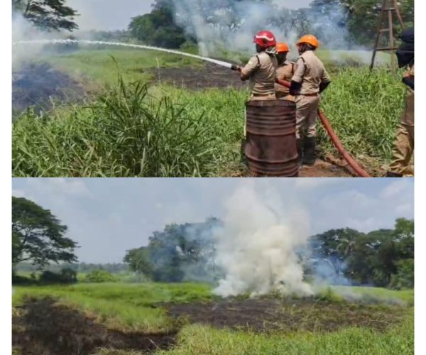 ദുരന്തം മുനമ്പിൽ പാലിയേക്കര; പാചകവാതക ചോർച്ചയ്ക്കിടെ പാടത്ത് തീപിടുത്തം