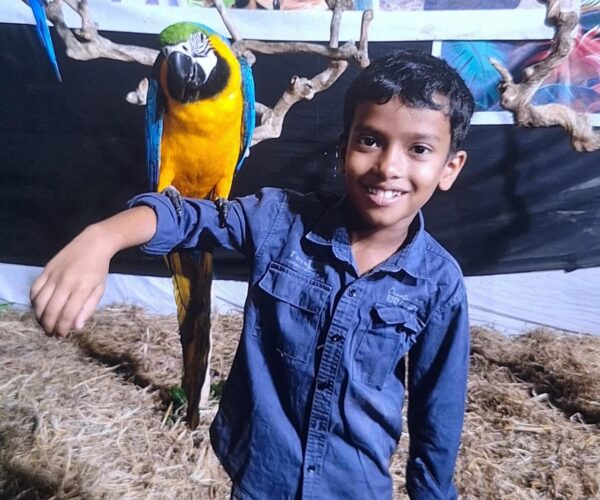 കണ്ണീരോടെ വിട; ആൽജോ ഇനി നോവാക്കുന്ന ഓർമ്മ. അനോജിനായി പ്രാർത്ഥനയോടെ ഒരു നാട്