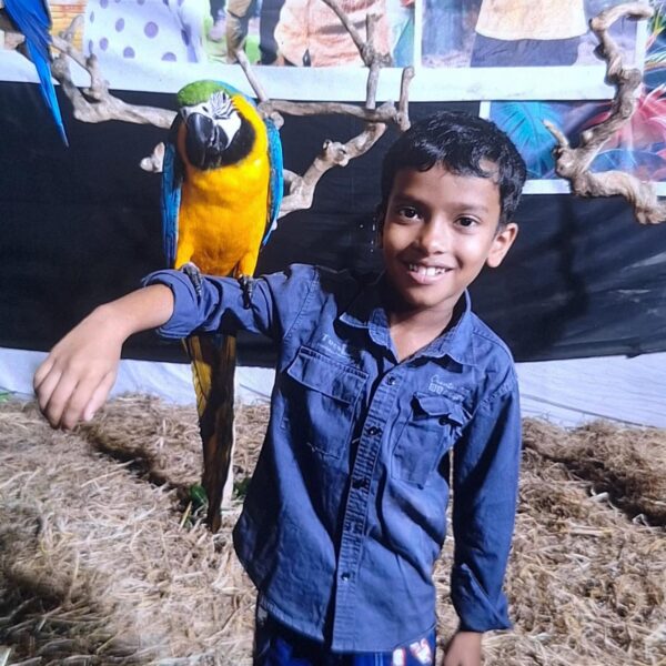 കണ്ണീരോടെ വിട; ആൽജോ ഇനി നോവാക്കുന്ന ഓർമ്മ. അനോജിനായി പ്രാർത്ഥനയോടെ ഒരു നാട്