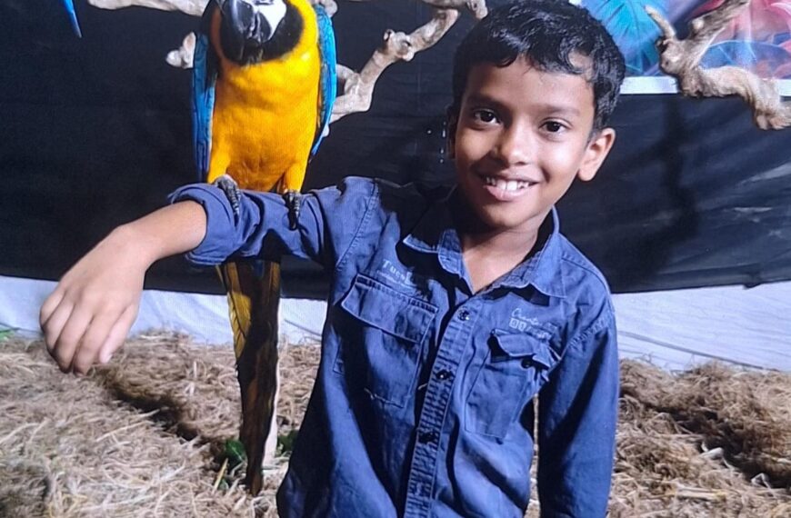 കണ്ണീരോടെ വിട; ആൽജോ ഇനി നോവാക്കുന്ന ഓർമ്മ. അനോജിനായി പ്രാർത്ഥനയോടെ ഒരു നാട്