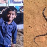 ഉറക്കത്തിനിടെ പാമ്പുകടിയേറ്റ് എട്ടു വയസ്സുകാരൻ മരിച്ചു; സഹോദരൻ ഗുരുതരാവസ്ഥയിൽ