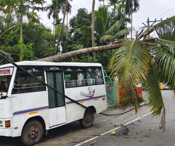 പുതുക്കാട് സ്കൂൾ വാനിന് മുകളിൽ തെങ്ങ് വീണു; വൈദ്യുതി ലൈനുകൾ തകർന്നു
