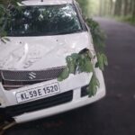 ഇഞ്ചക്കുണ്ടില്‍ കാര്‍ മരക്കുറ്റിയിലിടിച്ച് മറിഞ്ഞു; റോഡരികിലെ അപകടക്കെണികള്‍ മാറ്റണമെന്ന് നാട്ടുകാര്‍