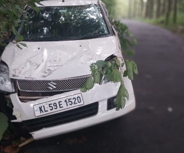 ഇഞ്ചക്കുണ്ടില്‍ കാര്‍ മരക്കുറ്റിയിലിടിച്ച് മറിഞ്ഞു; റോഡരികിലെ അപകടക്കെണികള്‍ മാറ്റണമെന്ന് നാട്ടുകാര്‍