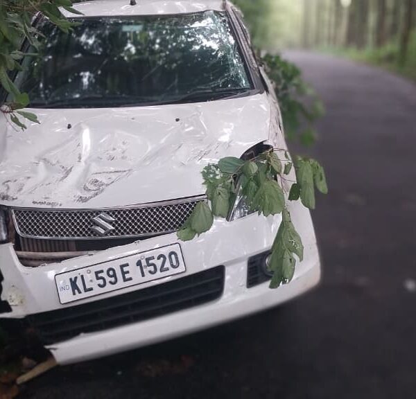 ഇഞ്ചക്കുണ്ടില്‍ കാര്‍ മരക്കുറ്റിയിലിടിച്ച് മറിഞ്ഞു; റോഡരികിലെ അപകടക്കെണികള്‍ മാറ്റണമെന്ന് നാട്ടുകാര്‍
