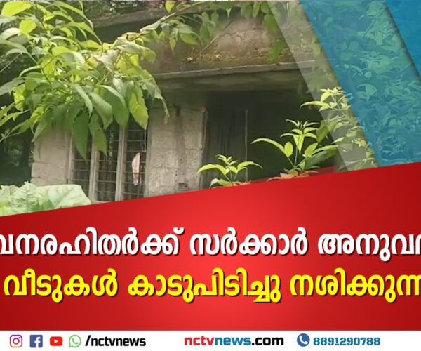 സർക്കാർ അനുവദിച്ച വീടുകൾ 10 വർഷമായിട്ടും കാടുകയറി നശിക്കുന്നു; തൃക്കൂറിലെ ദുരവസ്ഥയ്ക്ക് പരിഹാരം തേടി ജനപ്രതിനിധി