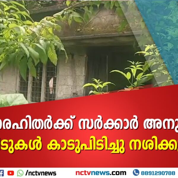 സർക്കാർ അനുവദിച്ച വീടുകൾ 10 വർഷമായിട്ടും കാടുകയറി നശിക്കുന്നു; തൃക്കൂറിലെ ദുരവസ്ഥയ്ക്ക് പരിഹാരം തേടി ജനപ്രതിനിധി