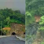 കുതിരാൻ തുരങ്കത്തിന് മുന്നിൽ മണ്ണിടിച്ചിൽ ഭീഷണി; ഗതാഗത നിയന്ത്രണം ഏർപ്പെടുത്തി