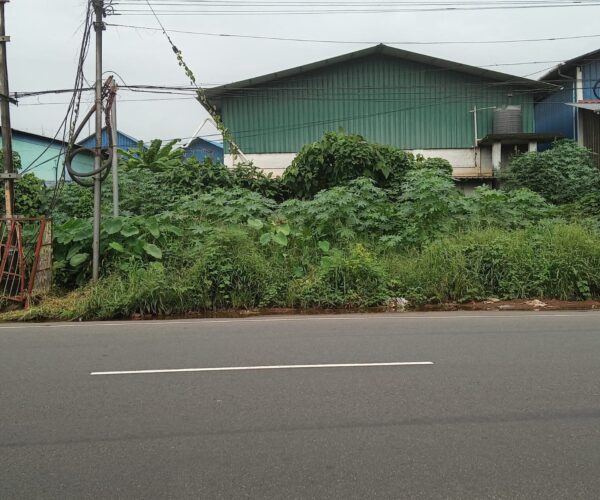 ഒല്ലൂരിൽ റോഡരികിലെ കാട് പടർന്നുപിടിക്കുന്നു; യാത്രാദുരിതത്തിനെതിരെ പരാതി നൽകി