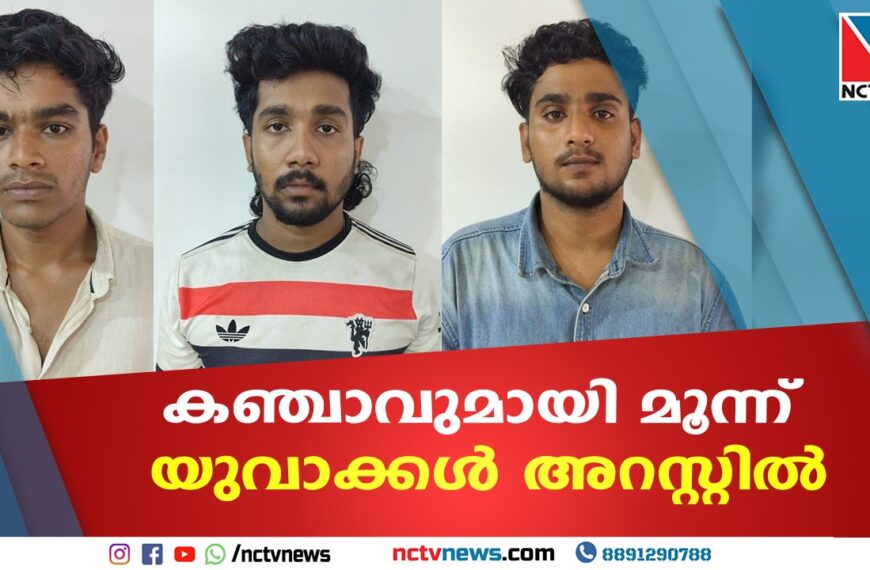 36.15 ഗ്രാം കഞ്ചാവുമായി മൂന്ന് യുവാക്കൾ പിടിയിൽ