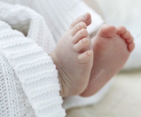 ചാവക്കാടിൽ നാലുദിവസം പ്രായമായ കുഞ്ഞ് മരിച്ച സംഭവം: മൃതദേഹം പുറത്തെടുത്ത് പോസ്റ്റുമോർട്ടം നടത്താൻ കോടതി ഉത്തരവ്